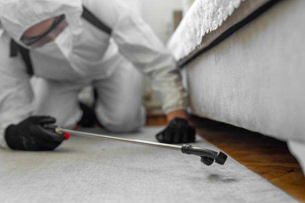Professional Mosquito Control technician working in Dike, IA