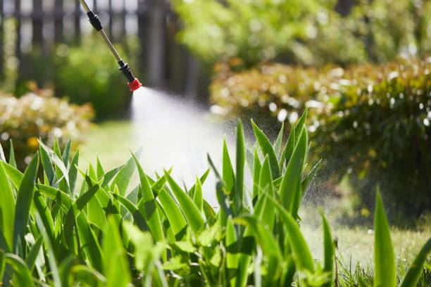 24/7 Emergency Mosquito Control experts in Dike, IA