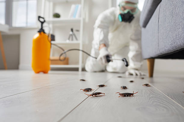 Trusted Fumigation Services service in Dike, IA - Nex Pest Control